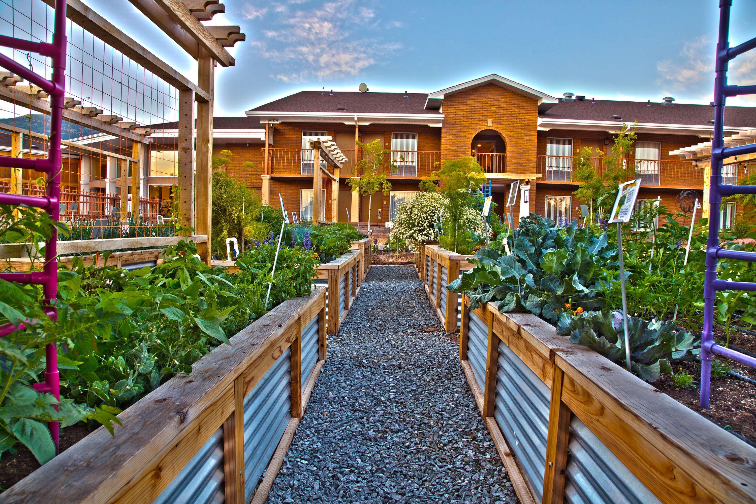 Best Western Plus Cedar City Εξωτερικό φωτογραφία