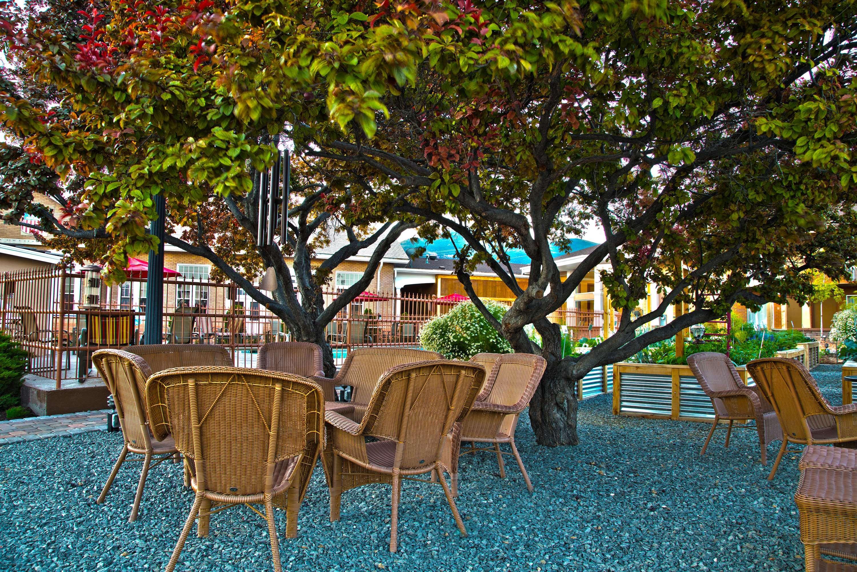 Best Western Plus Cedar City Εξωτερικό φωτογραφία